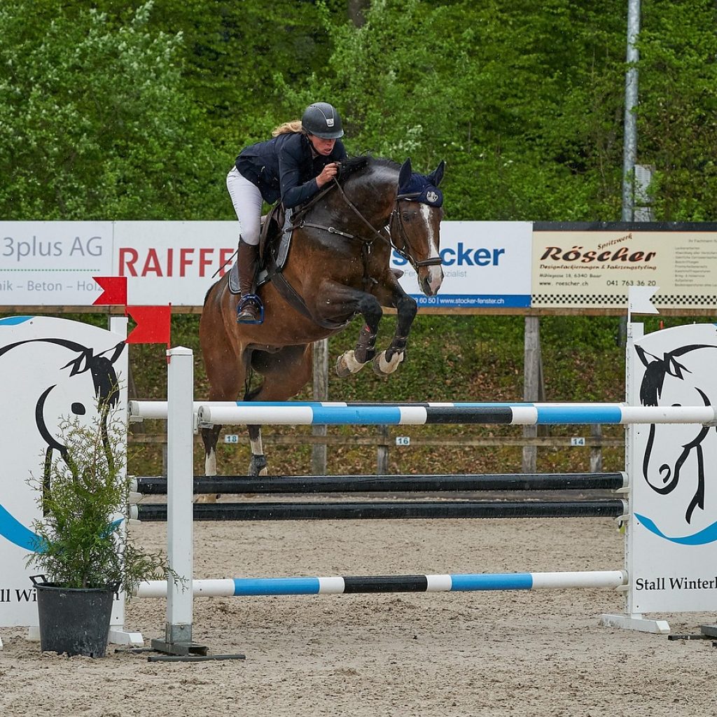 horse-jumping-4416636_1280